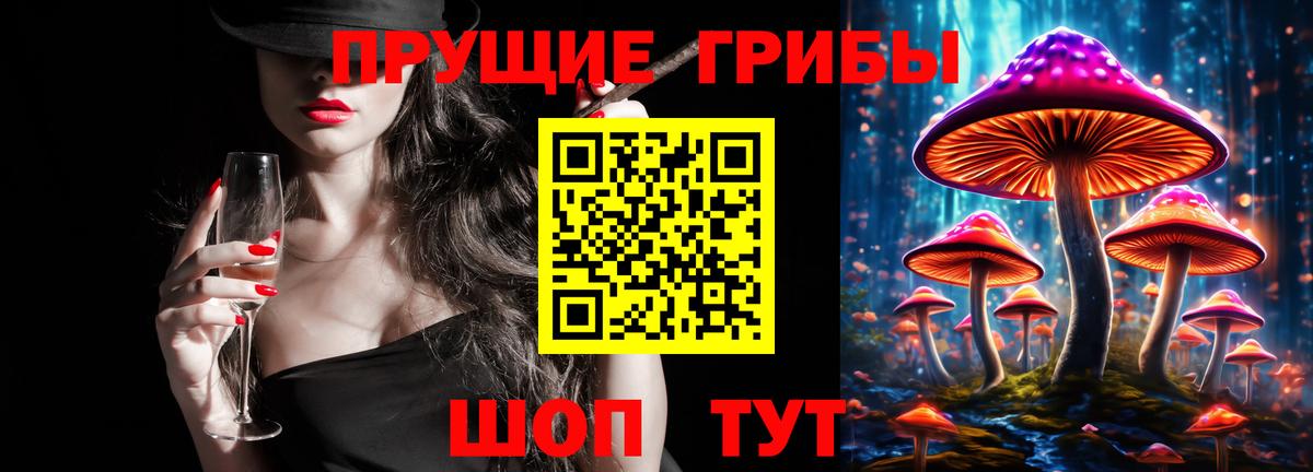 Тверь  Галлюциногенные грибы Psilocybine cubensis  Вход с VPN 